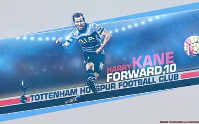 米兰电竞热评-丹麦队欧洲杯收入创纪录