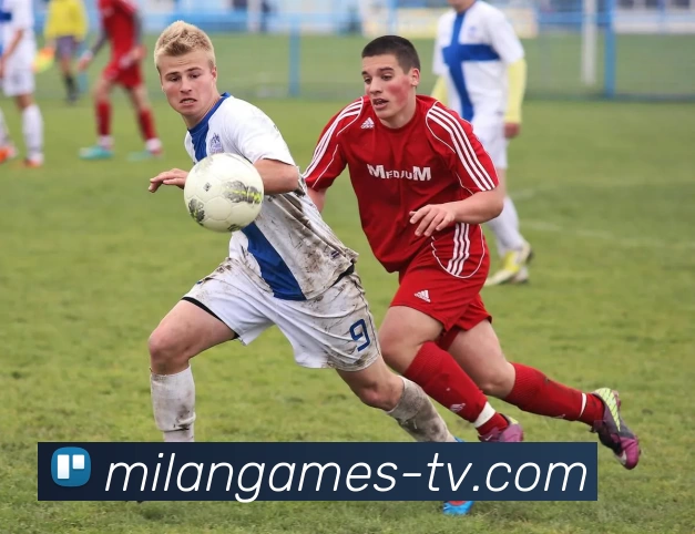 米兰电竞平台服务体系